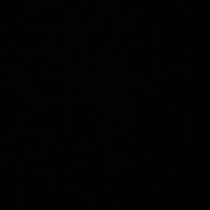 Meet your Posher, Giselle